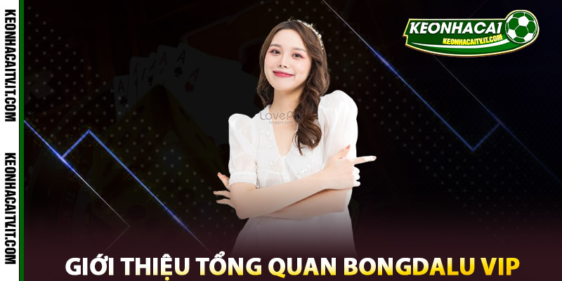 Bongdalu Vip – Giới Thiệu Nền Tảng Thống Kê Uy Tín Hàng Đầu 1 Giới thiệu tổng quan Bongdalu Vip